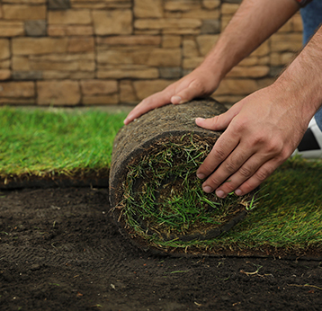 Sod Installation